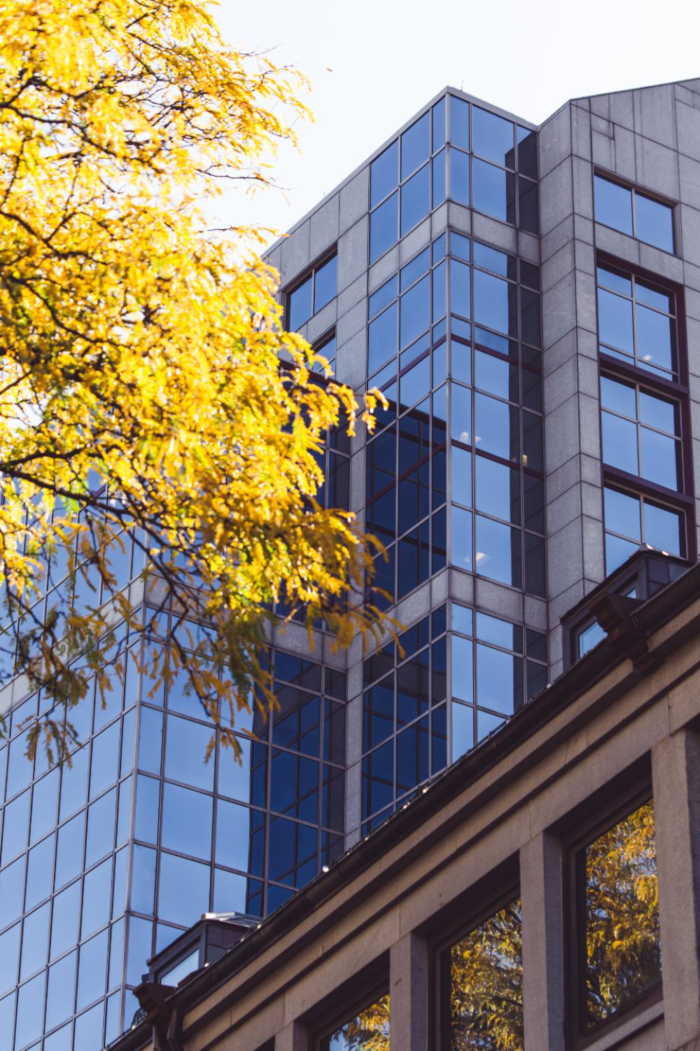 city autumn building facade fall city autumn building facade fall