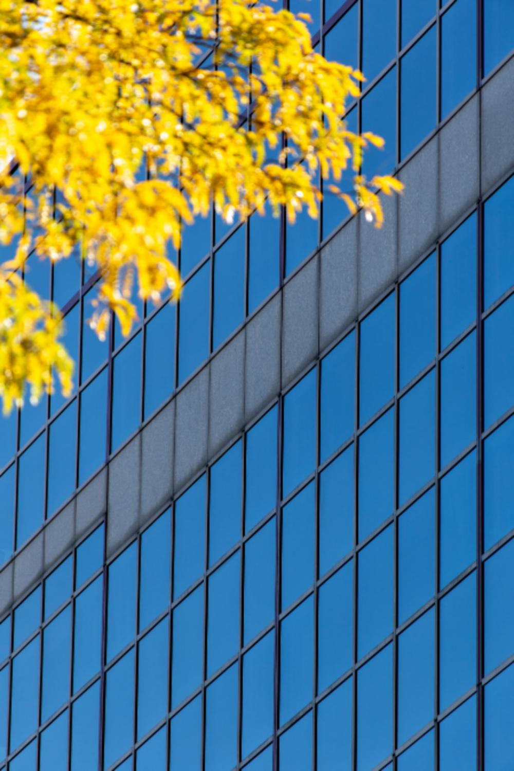 office exterior facade pattern modern office exterior facade pattern modern