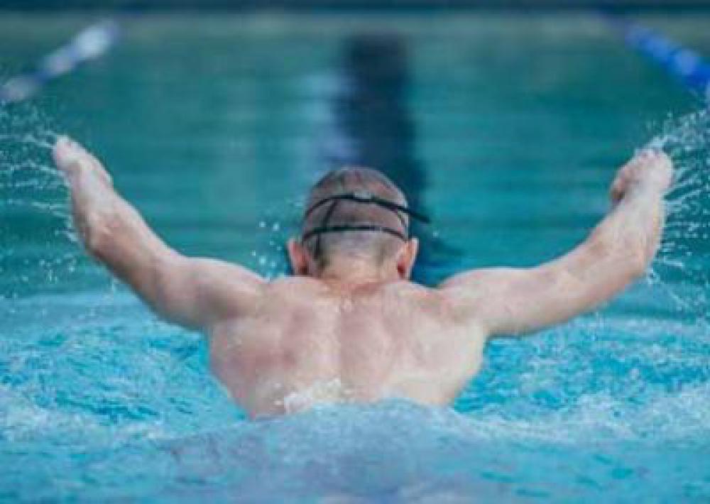 Man Swimming Freestyle In Swimming Pool Man Swimming Freestyle In Swimming Pool