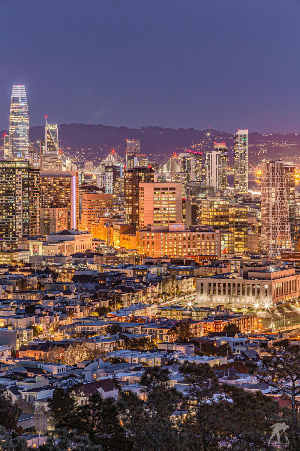 Evening In San Fran Photo Evening In San Fran Photo