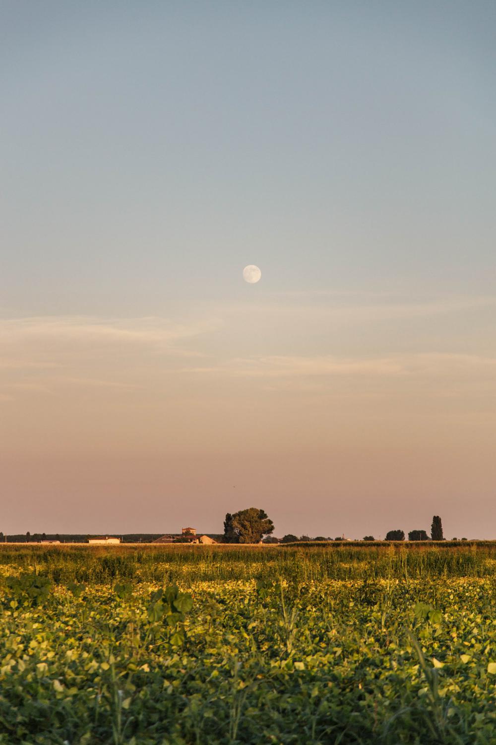 Pastel Moon Photo Pastel Moon Photo