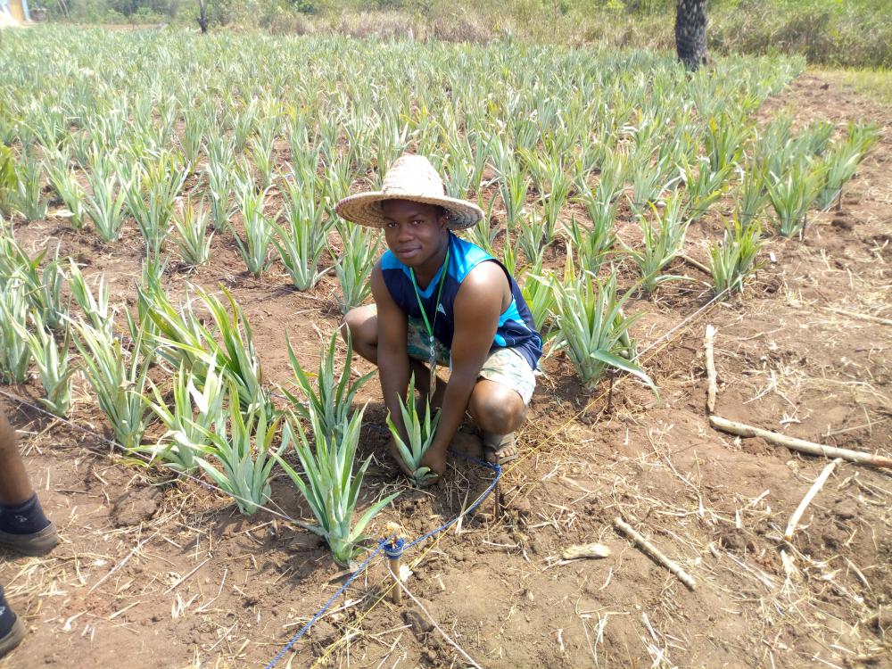 agriculture, farming, farm, plantation, people, crop, environment, nature, flora, rural, facial expression, agroecology, farmer agriculture, farming, farm, plantation, people, crop, environment, nature, flora, rural, facial expression, agroecology, farmer