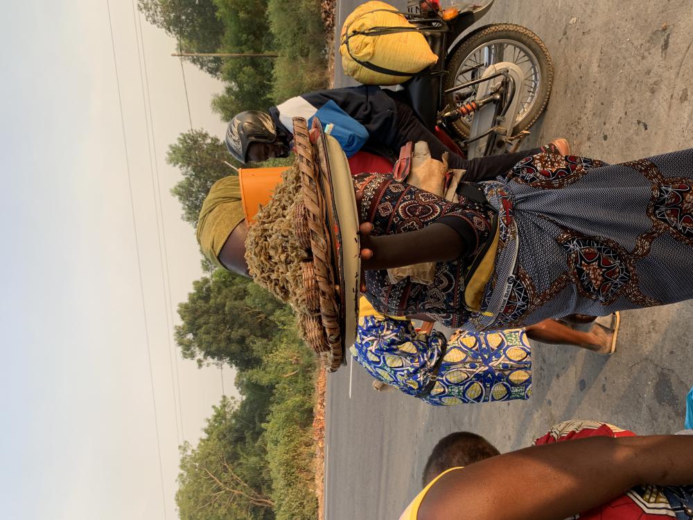 people, woman, merchant, sale, trade, fish, fried fish, food, nutrition, diet, work people, woman, merchant, sale, trade, fish, fried fish, food, nutrition, diet, work