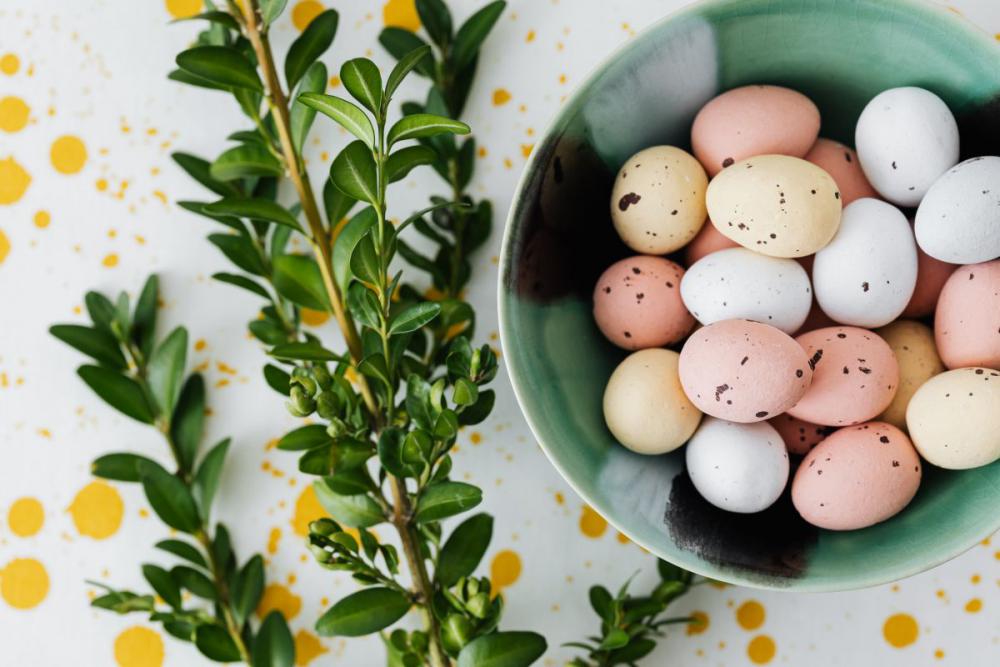 Eggs backgrounds Eggs backgrounds