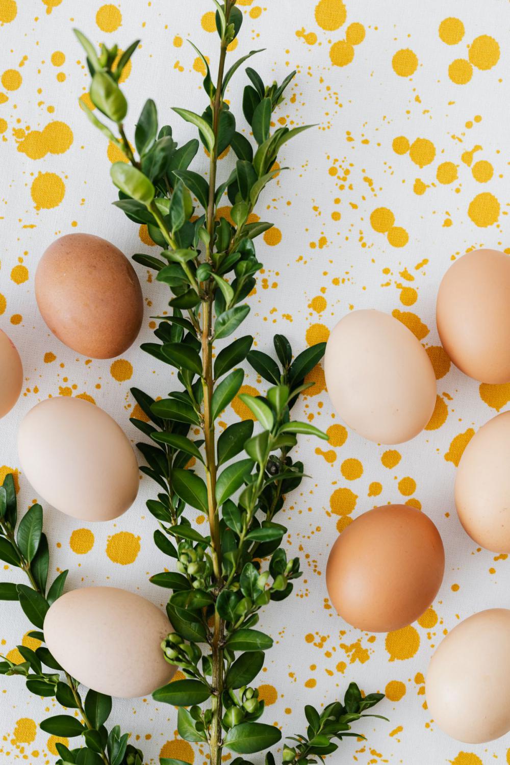 Eggs backgrounds Eggs backgrounds