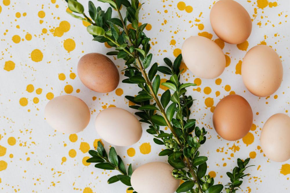 Eggs backgrounds Eggs backgrounds