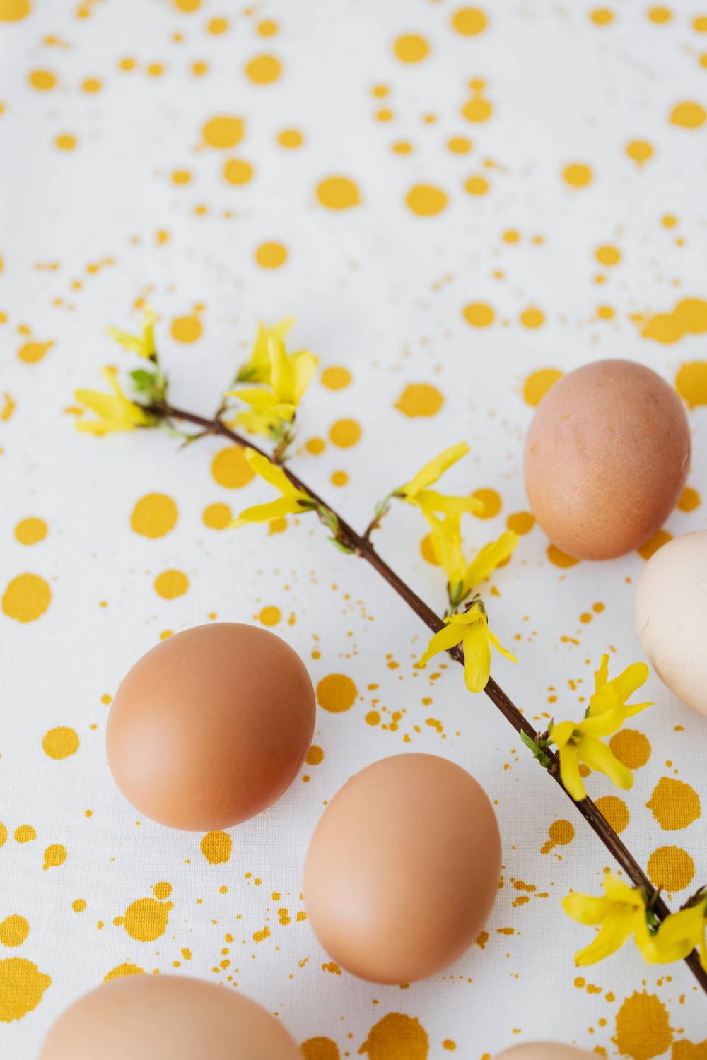 Eggs backgrounds Eggs backgrounds