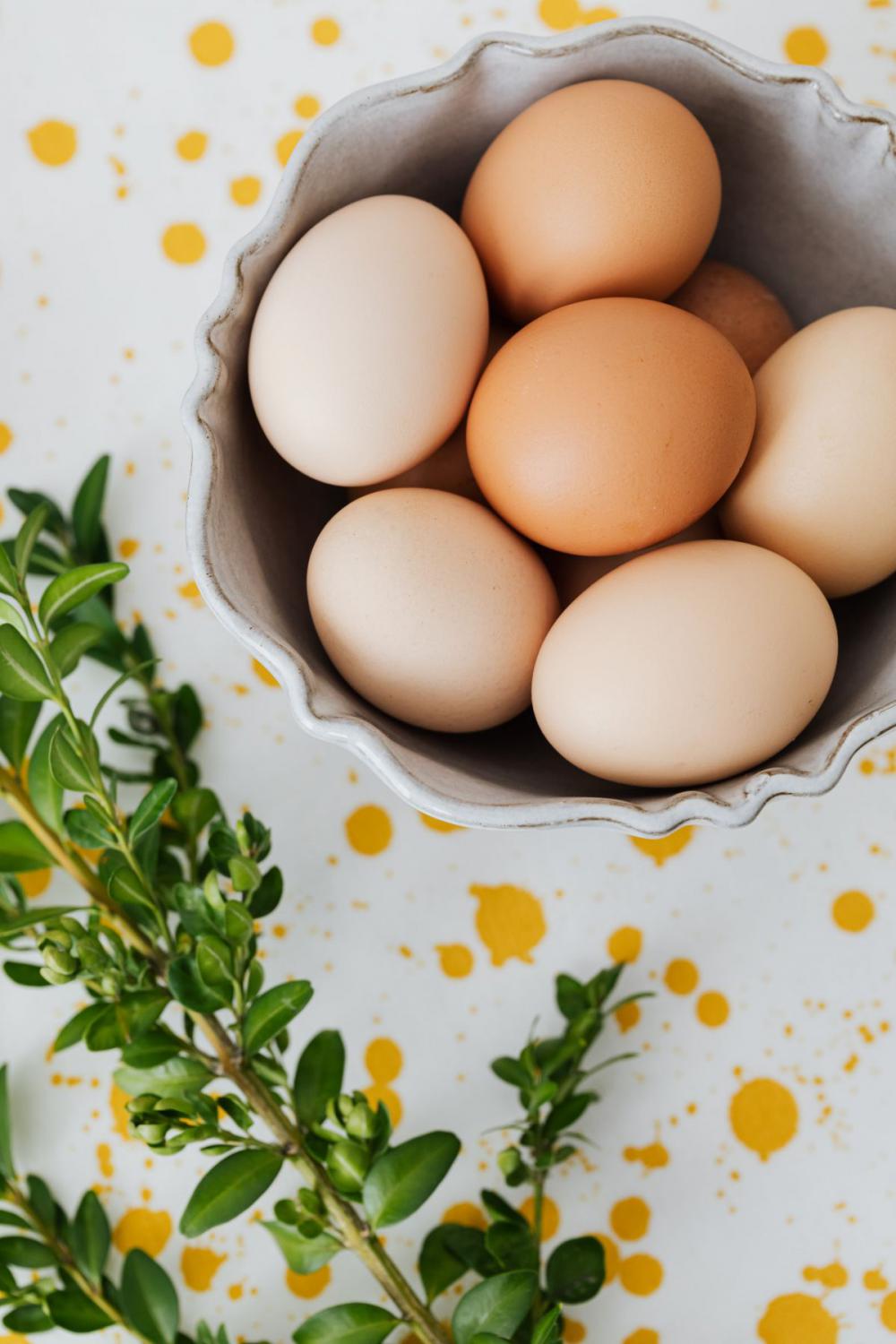 Eggs backgrounds Eggs backgrounds