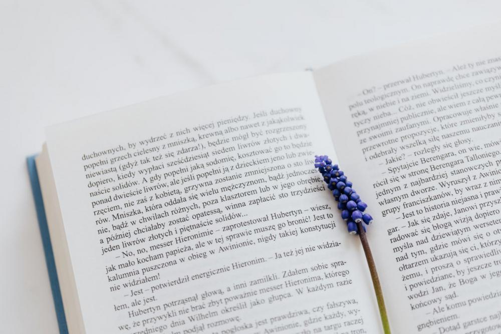 Book & spring flowers Book & spring flowers