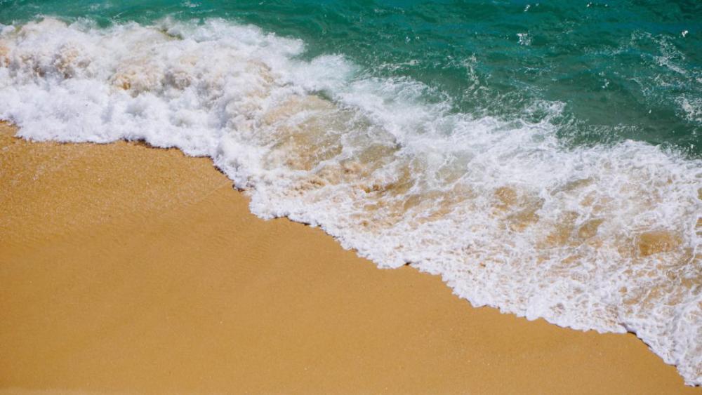 Beach Waves and Sand Free Photo Beach Waves and Sand Free Photo