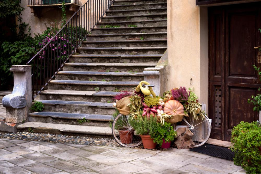 Exterior Pumpkins and Flowers Free Photo Exterior Pumpkins and Flowers Free Photo