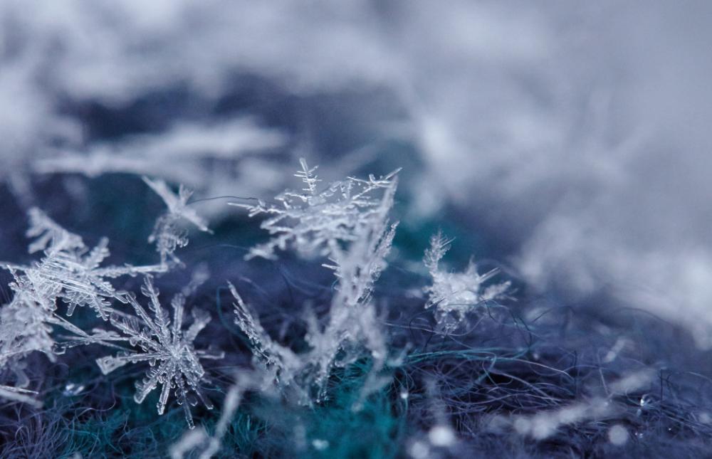 snow flake macro winter holiday snow flake macro winter holiday