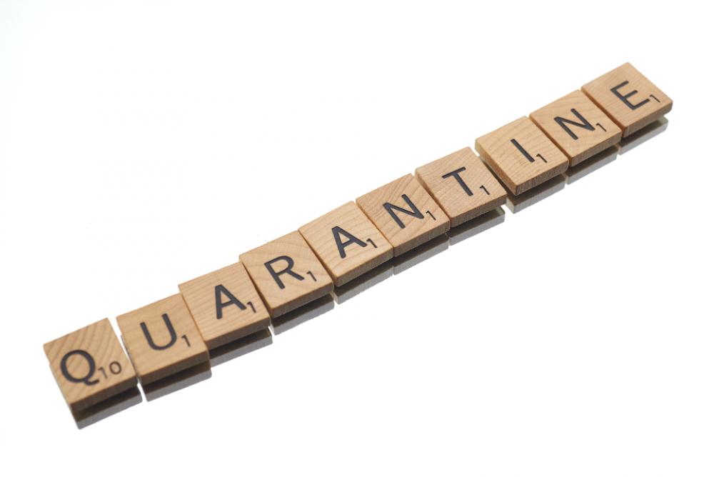 quarantine text disease virus social quarantine text disease virus social