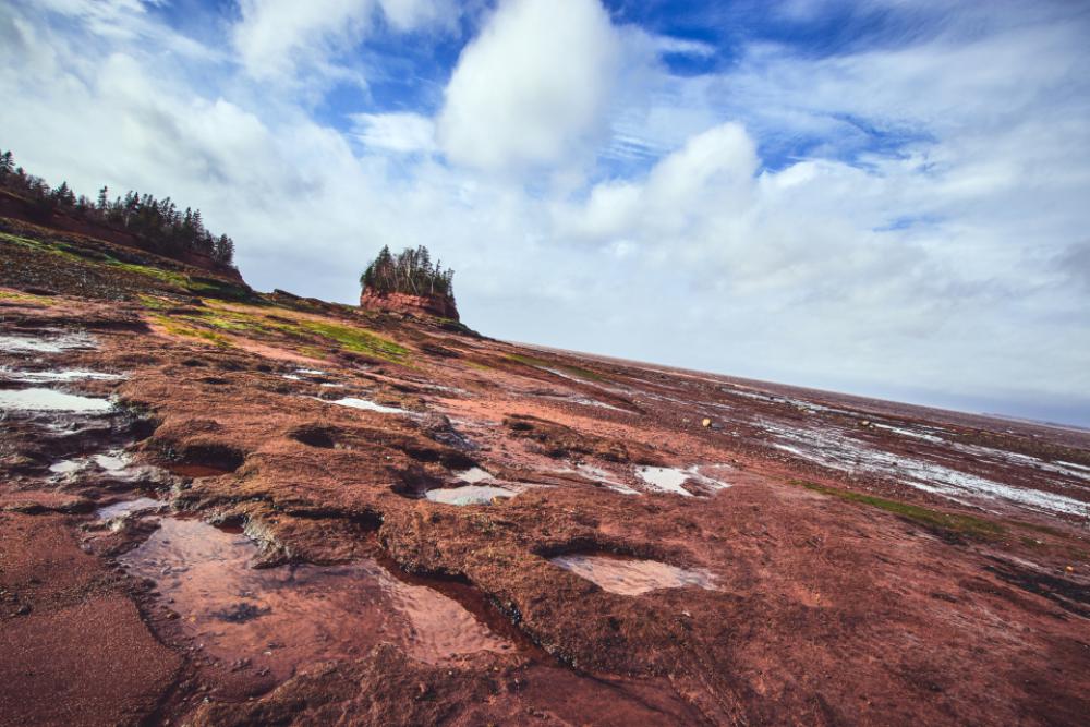 coastal landscape ocean shore rocky coastal landscape ocean shore rocky