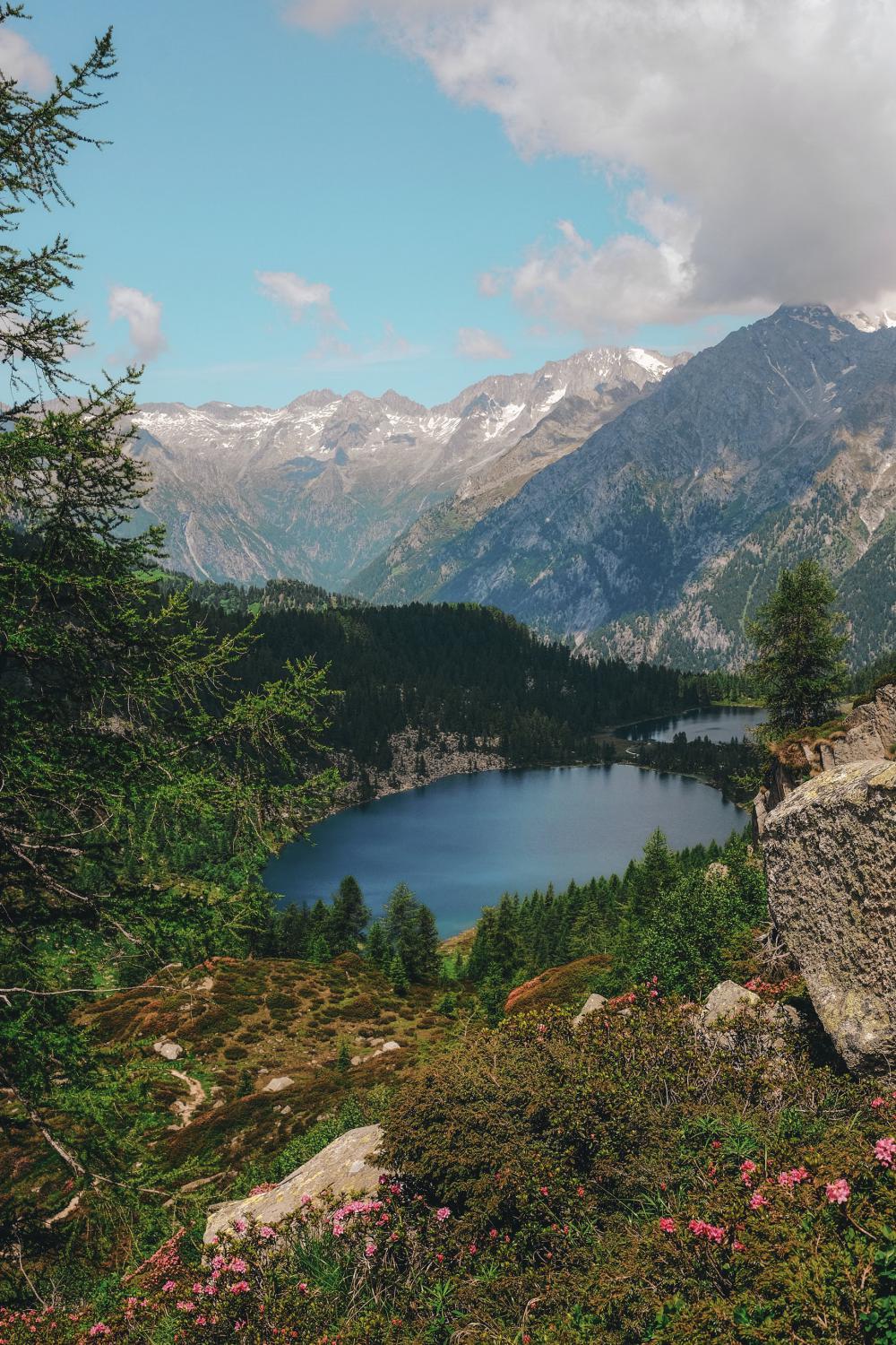 Vivid Colored Hillside With Lake Photo Vivid Colored Hillside With Lake Photo