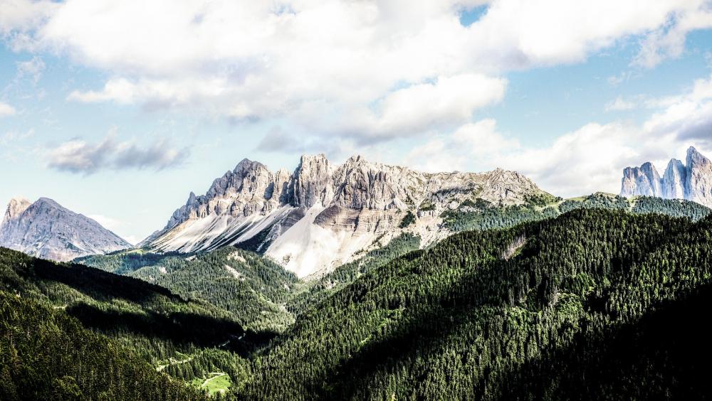 Forested Valley Ending At Mountain Photo Forested Valley Ending At Mountain Photo