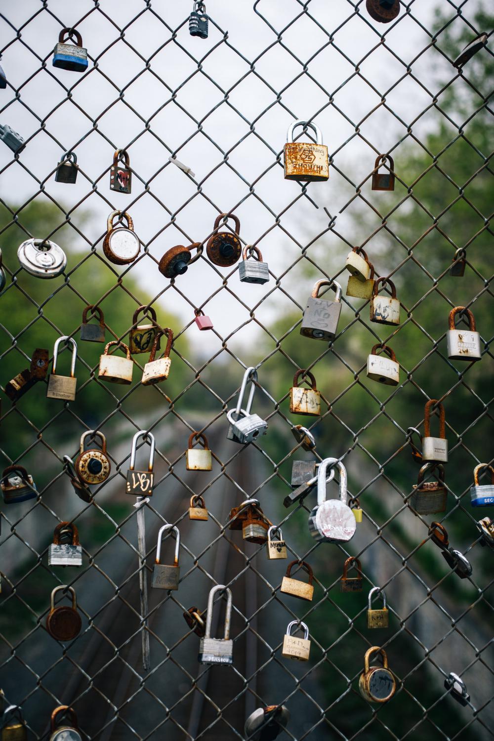 Love Locks On The Fence Photo Love Locks On The Fence Photo