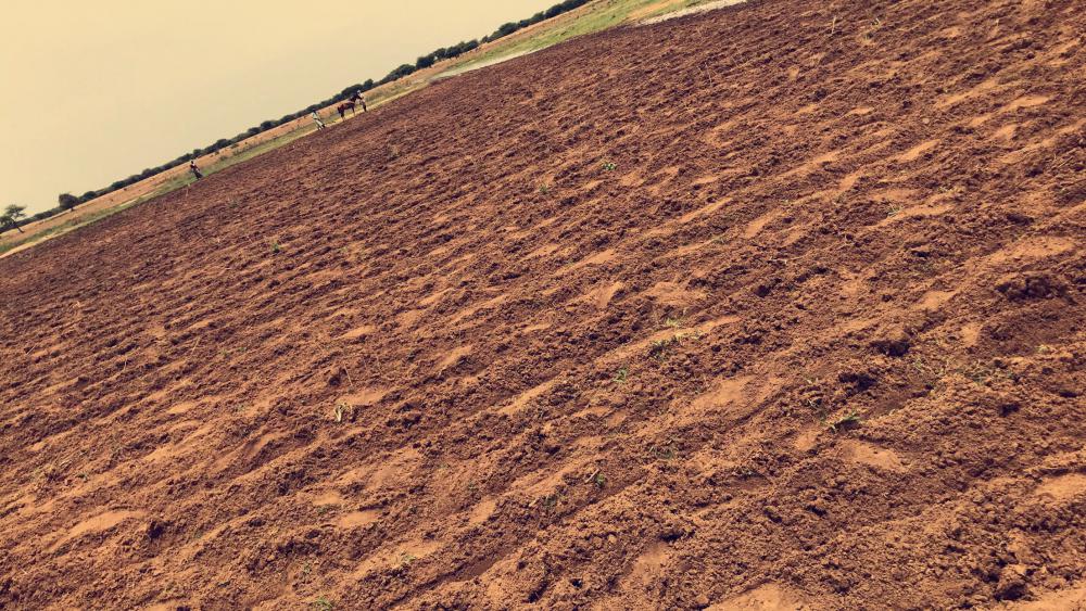 sand, soil, landscape, desert, agriculture, ground, cropland, arid sand, soil, landscape, desert, agriculture, ground, cropland, arid