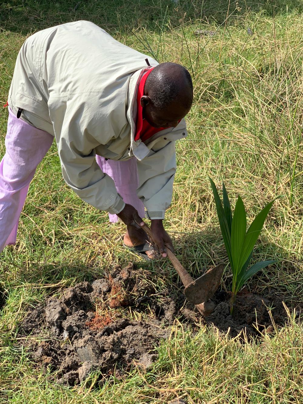 people, man, work, garden, plant, forest, crops, agriculture, flora people, man, work, garden, plant, forest, crops, agriculture, flora