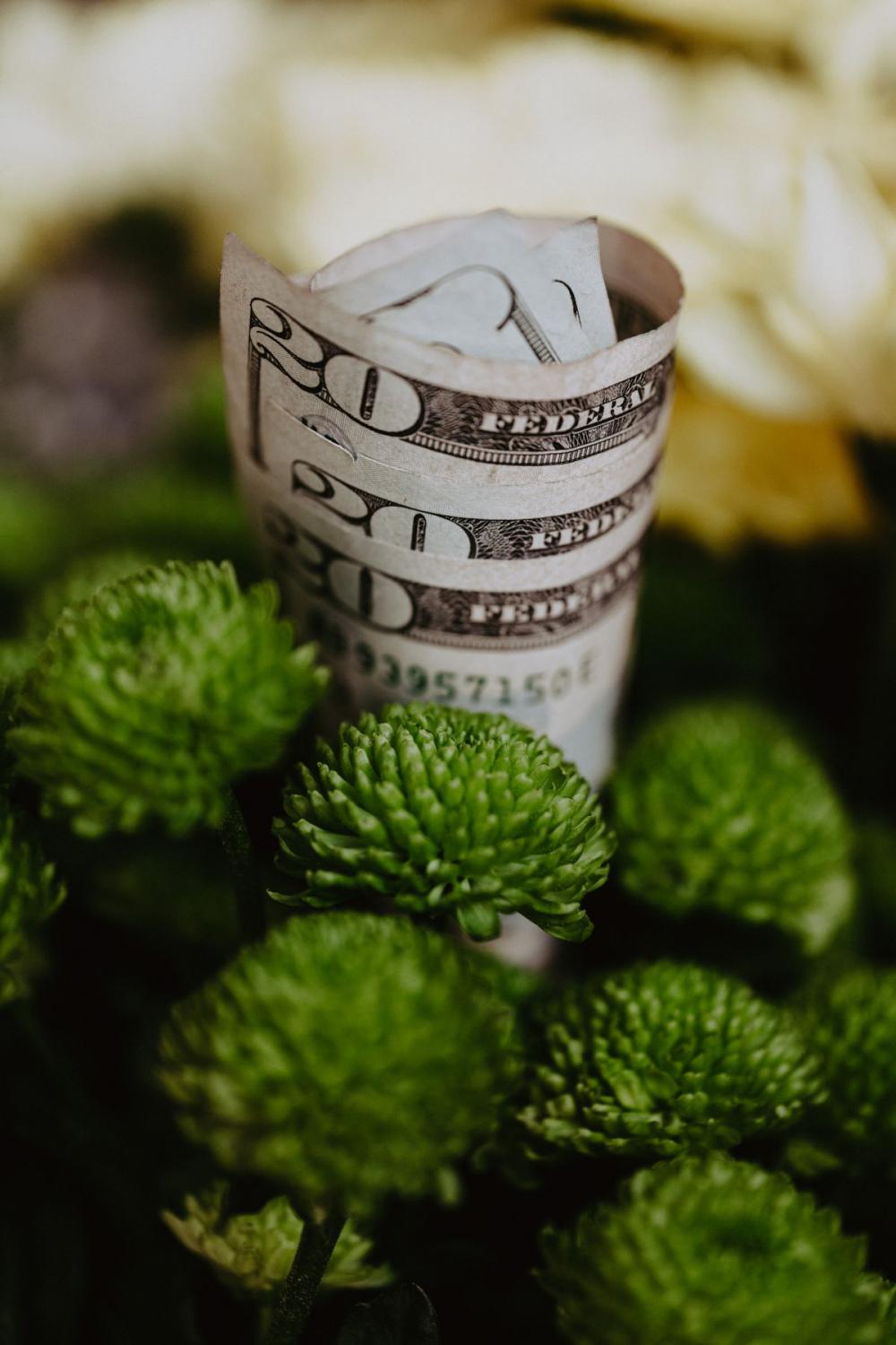 Money - PLN - USD - EUR Money - PLN - USD - EUR