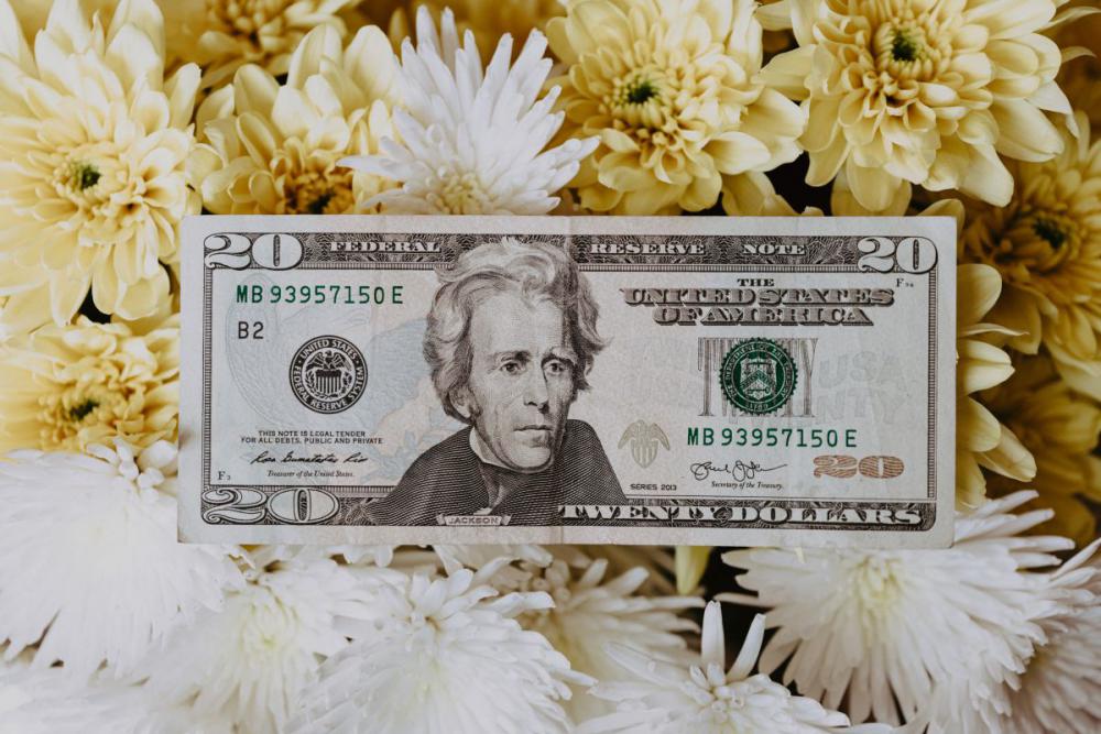 Money - PLN - USD - EUR Money - PLN - USD - EUR