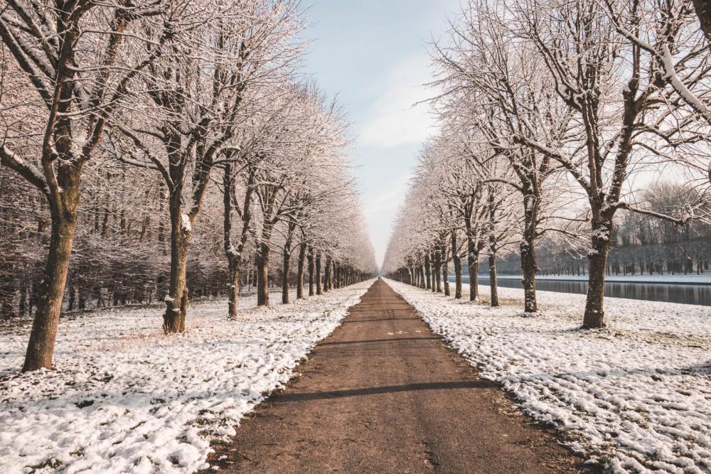 Winter Road Winter Road