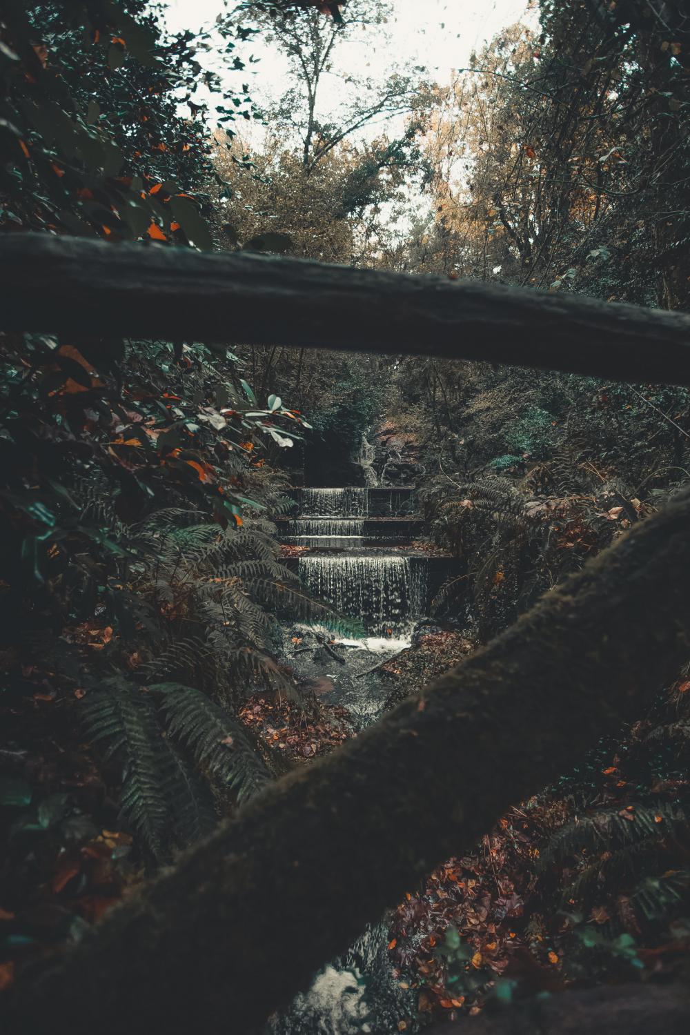 Babbling Brook Through The Trees Photo Babbling Brook Through The Trees Photo