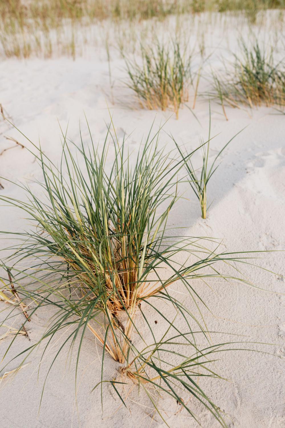 Baltic Sea Backgrounds Baltic Sea Backgrounds