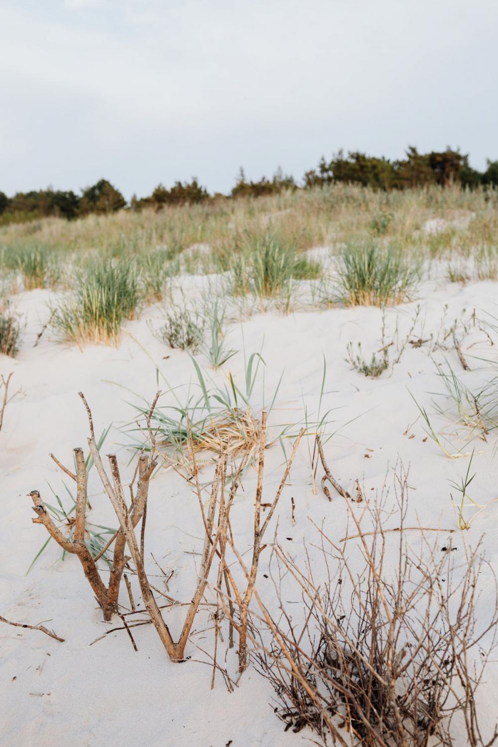 Baltic Sea Backgrounds Baltic Sea Backgrounds