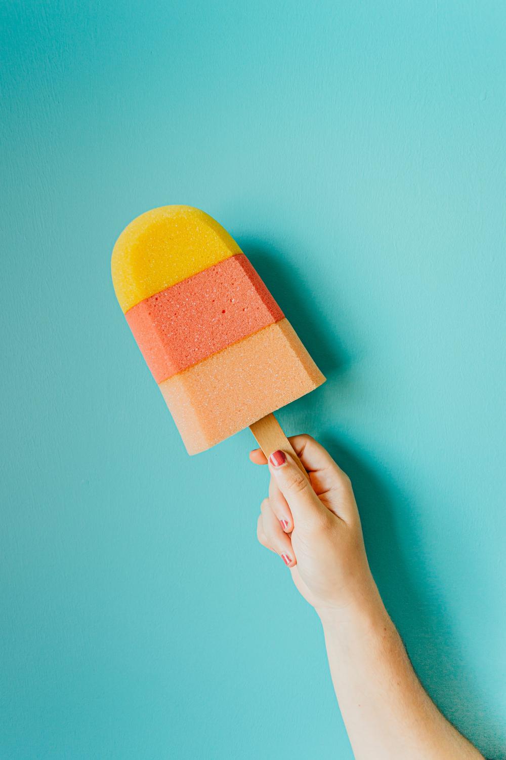 Do Not Eat This Sponge Photo Do Not Eat This Sponge Photo
