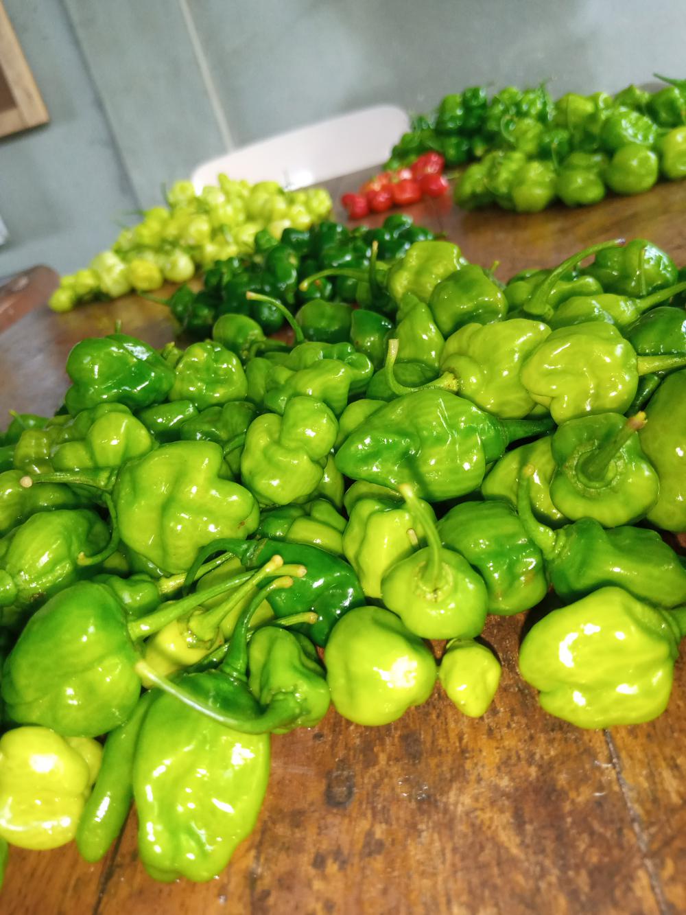 nutrition, bio, pepper, ingredients, cooking, piment, seasoning nutrition, bio, pepper, ingredients, cooking, piment, seasoning