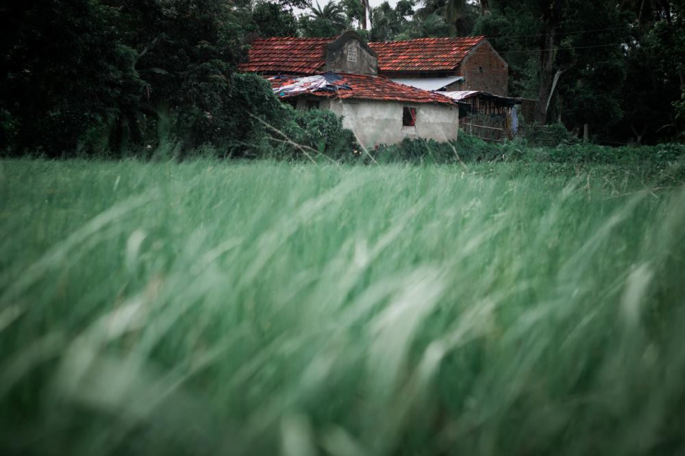 Abandoned Farm House Through Grass Photo Abandoned Farm House Through Grass Photo