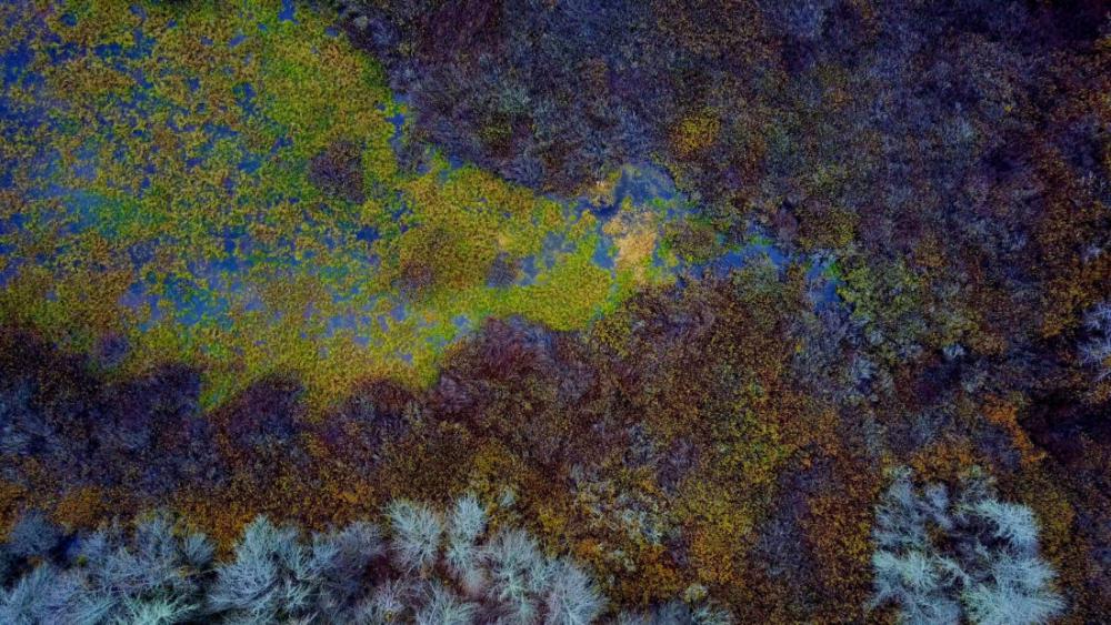 Aerial Wetland Aerial Wetland