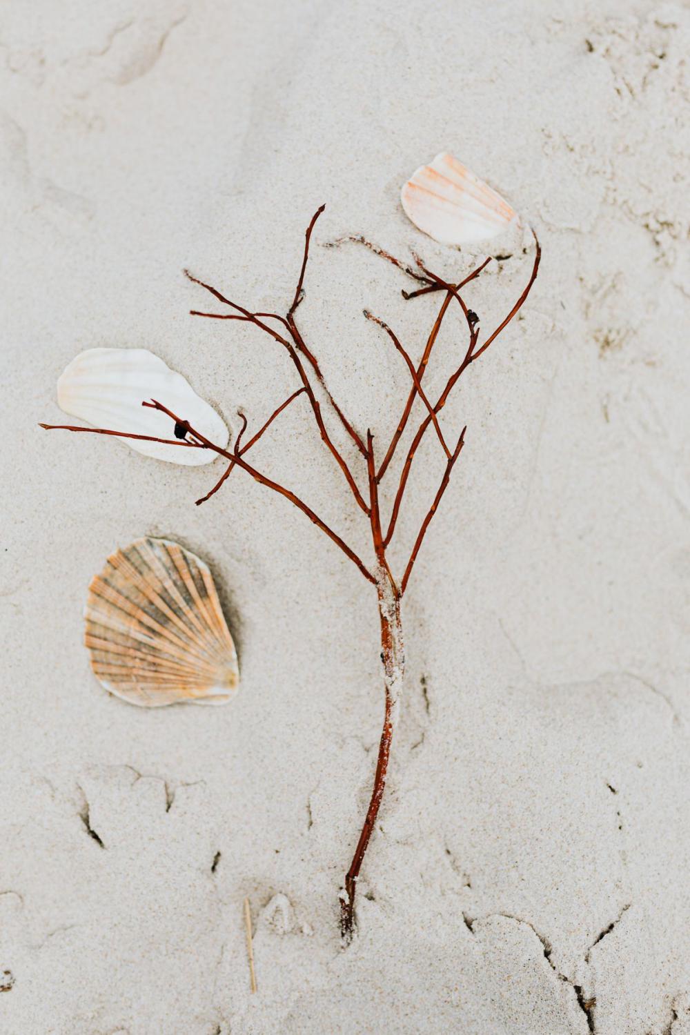 Seaside backgrounds Seaside backgrounds