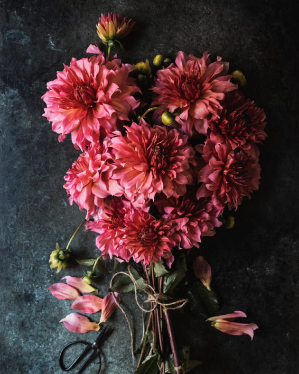 Flower Arrangement Free Photo Flower Arrangement Free Photo