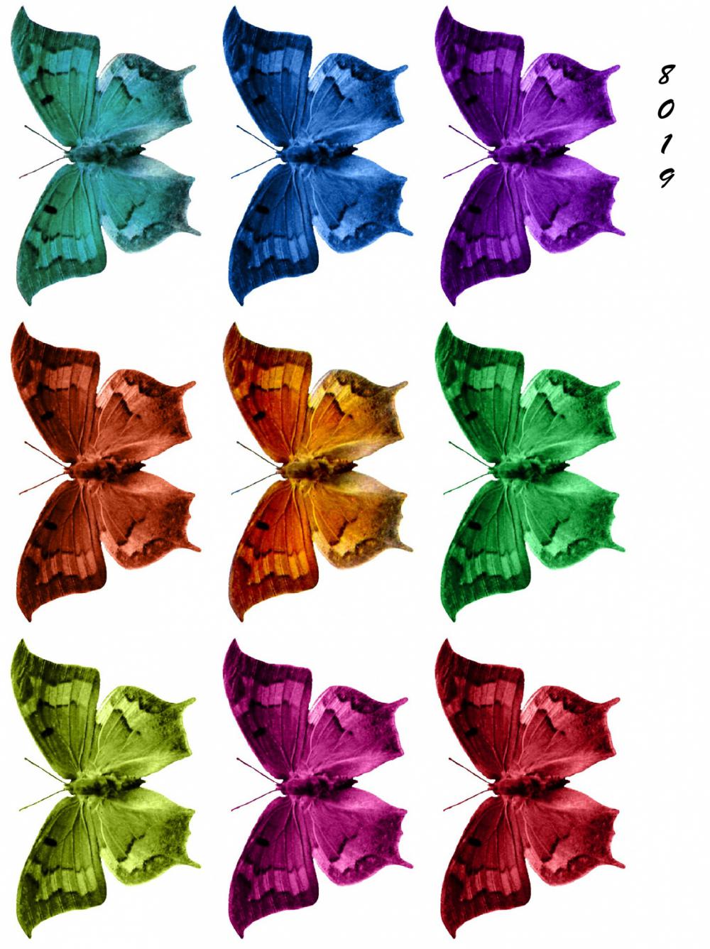 Colourful Butterflies Set Of 9 Colourful Butterflies Set Of 9