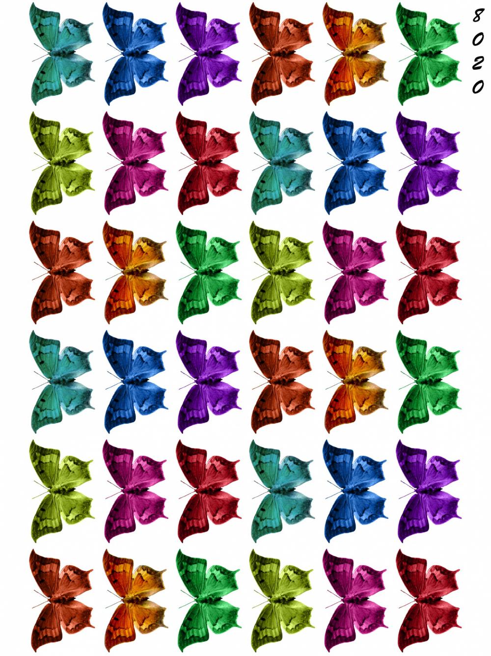 Colourful Butterflies Mini 36 Colourful Butterflies Mini 36