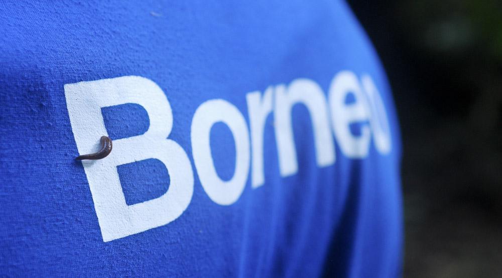 Leech On A Tshirt That Says Borneo Leech On A Tshirt That Says Borneo
