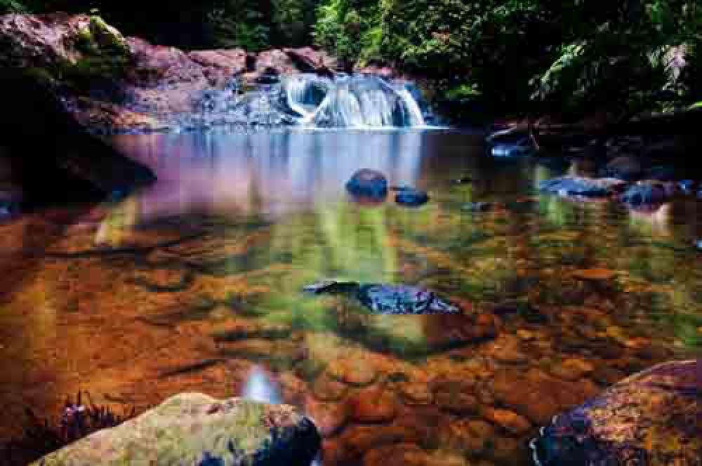 Waterfall Into River In Woodland Waterfall Into River In Woodland