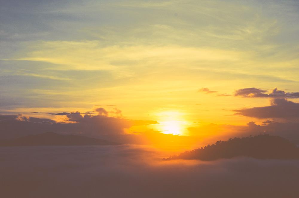 Desaturated Sunrise Over Misty Hills With Forest Desaturated Sunrise Over Misty Hills With Forest