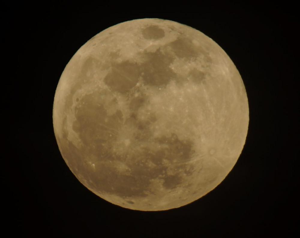 Moon Night Moon Night