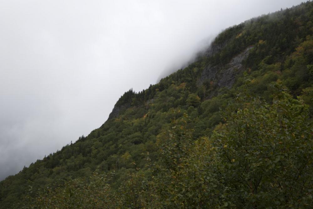 Fog Mountain Fog Mountain