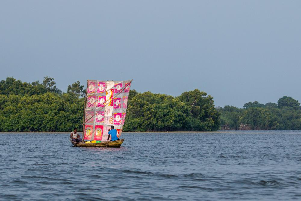 landscape, watercraft, rowboat, boat, canoe, river, lake, rural, nature, environment, transport, sail, travel, mangrove landscape, watercraft, rowboat, boat, canoe, river, lake, rural, nature, environment, transport, sail, travel, mangrove