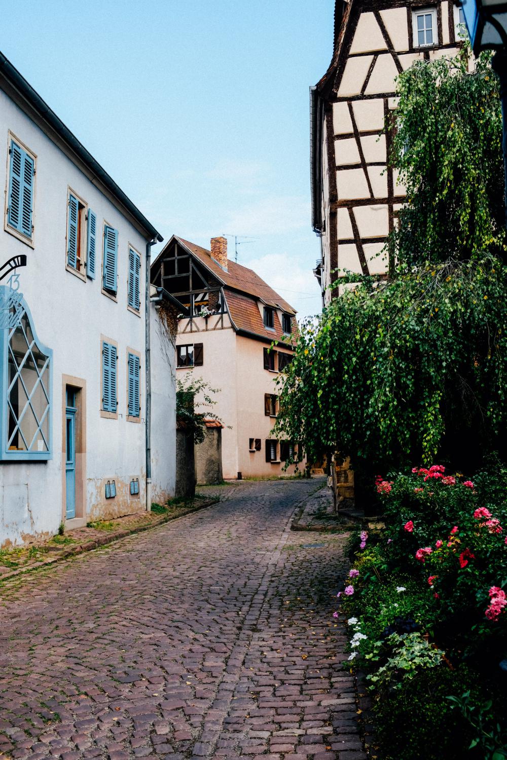 Cobble Stone Street Shrowded In Foliage Photo Cobble Stone Street Shrowded In Foliage Photo