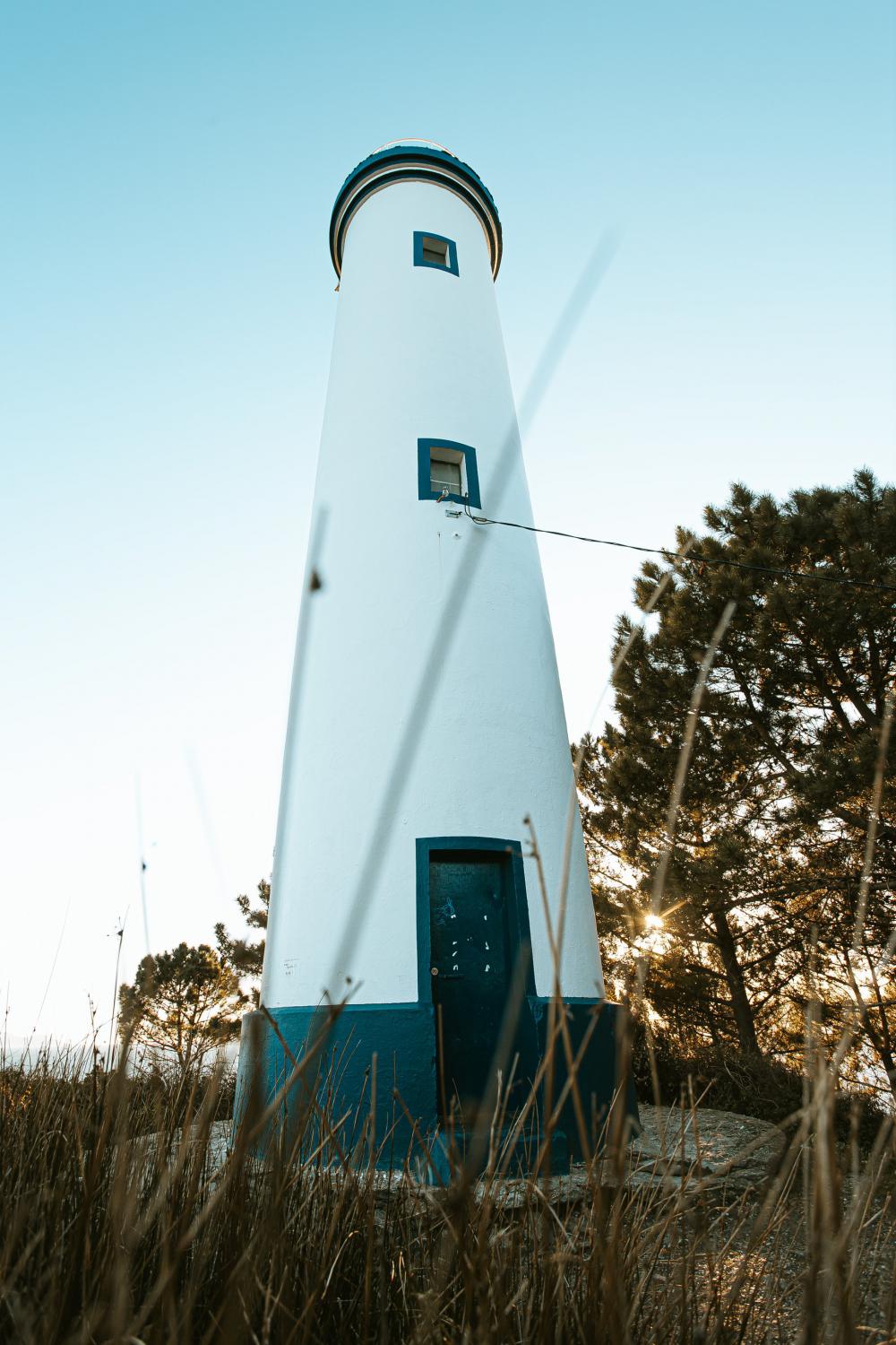 Lighthouse Towers Over Trees Photo Lighthouse Towers Over Trees Photo