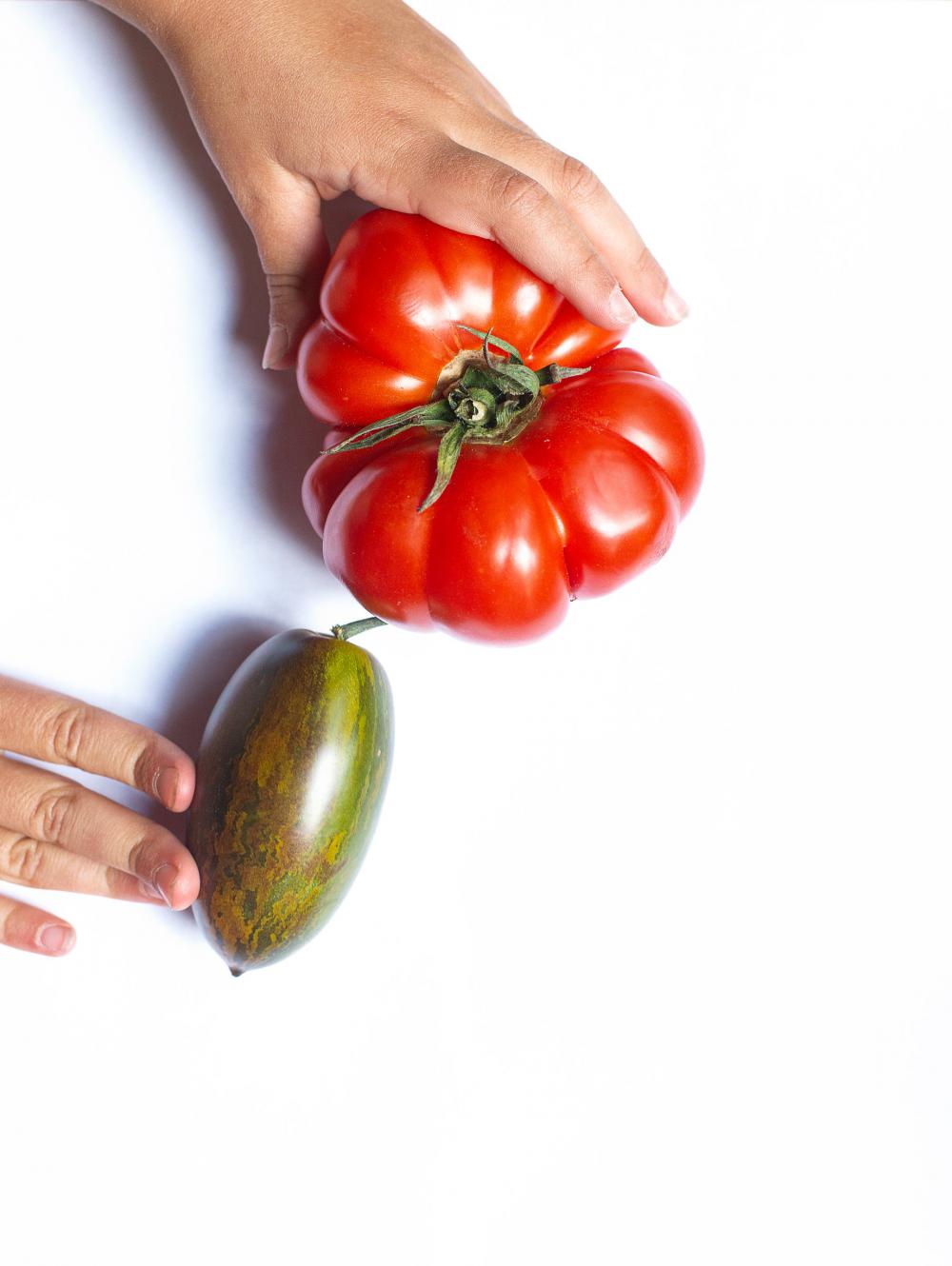 Fruit And Vegetable On White Photo Fruit And Vegetable On White Photo