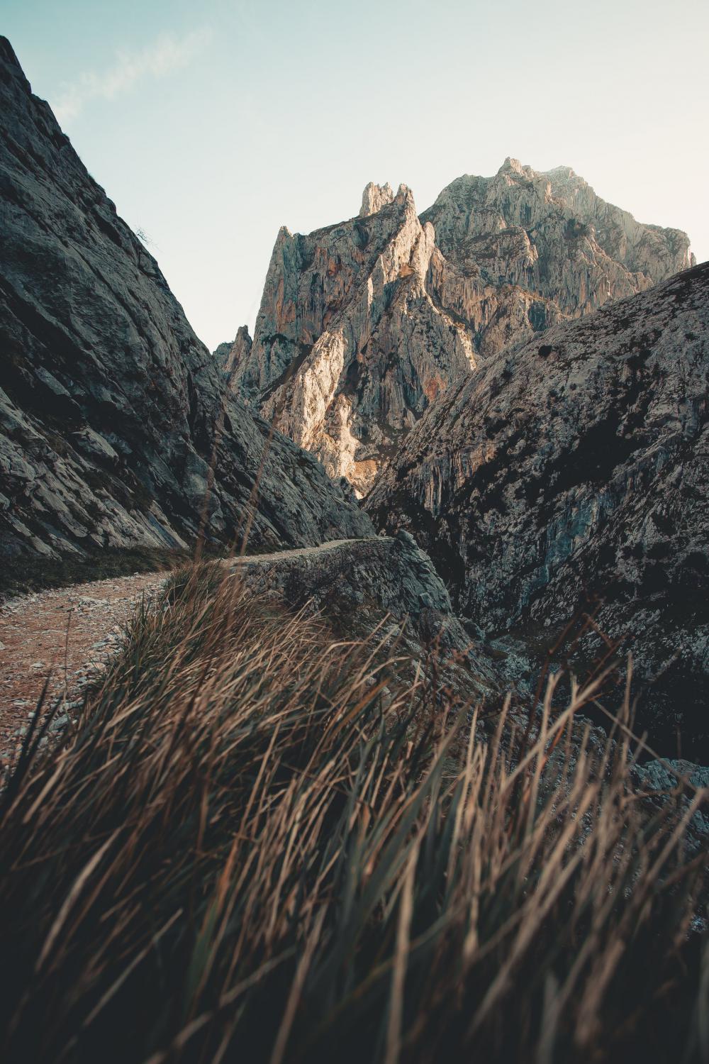 A Rocky Mountain Dirt Trail Photo A Rocky Mountain Dirt Trail Photo