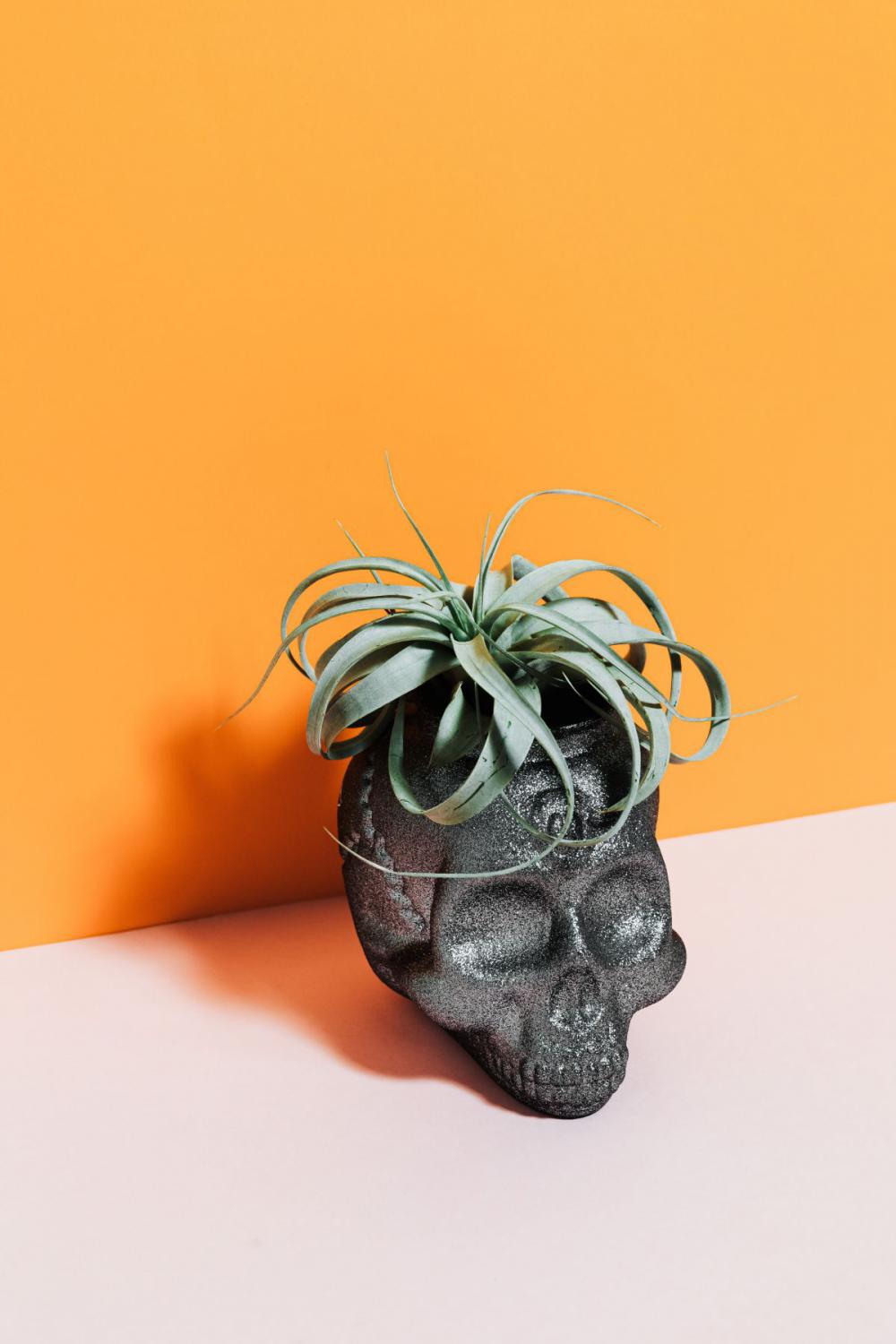 Halloween objects with negative space Halloween objects with negative space