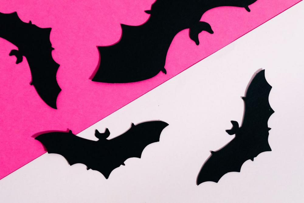 Halloween flat lays backgrounds Halloween flat lays backgrounds