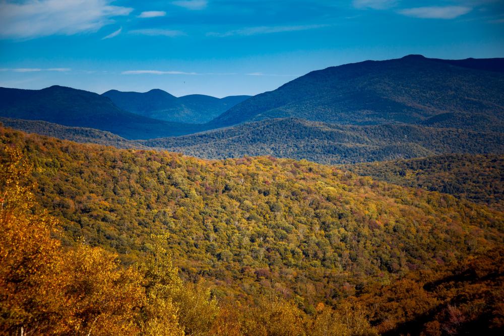 White Mountains In Fall White Mountains In Fall